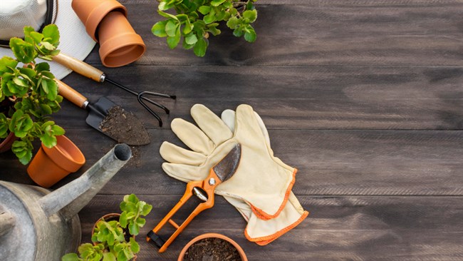 TIDY YOUR GARDEN FOR SPRING