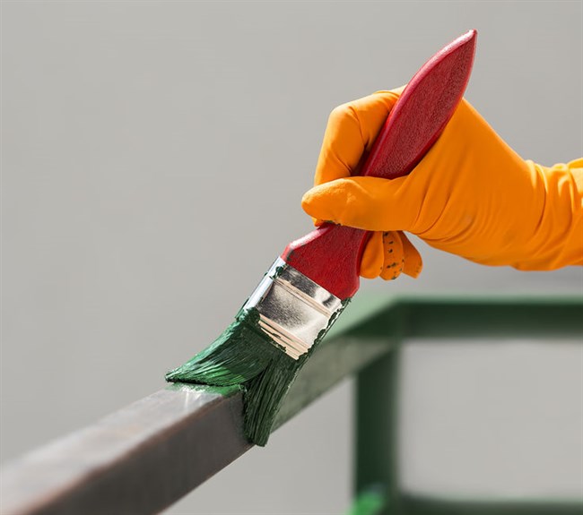 How A Fresh Coat of Paint Can Transform Your Garden