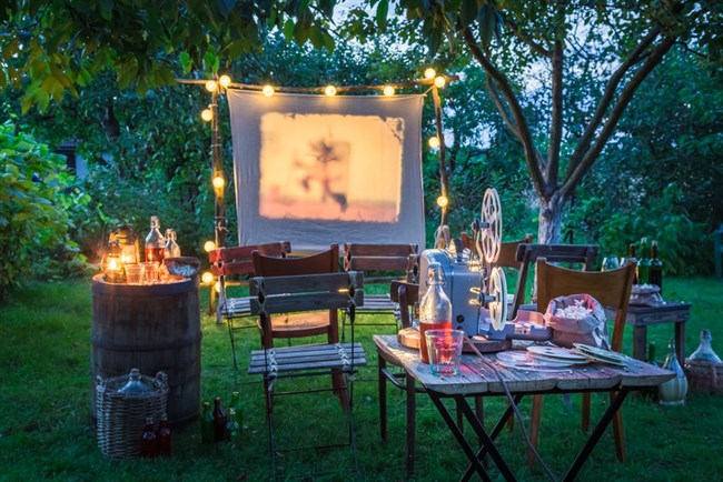 Landscaping Ideas for a Low Maintenance Outdoor Space