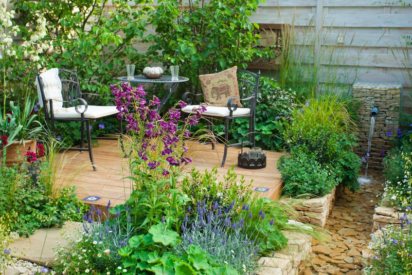 garden with perennial plants